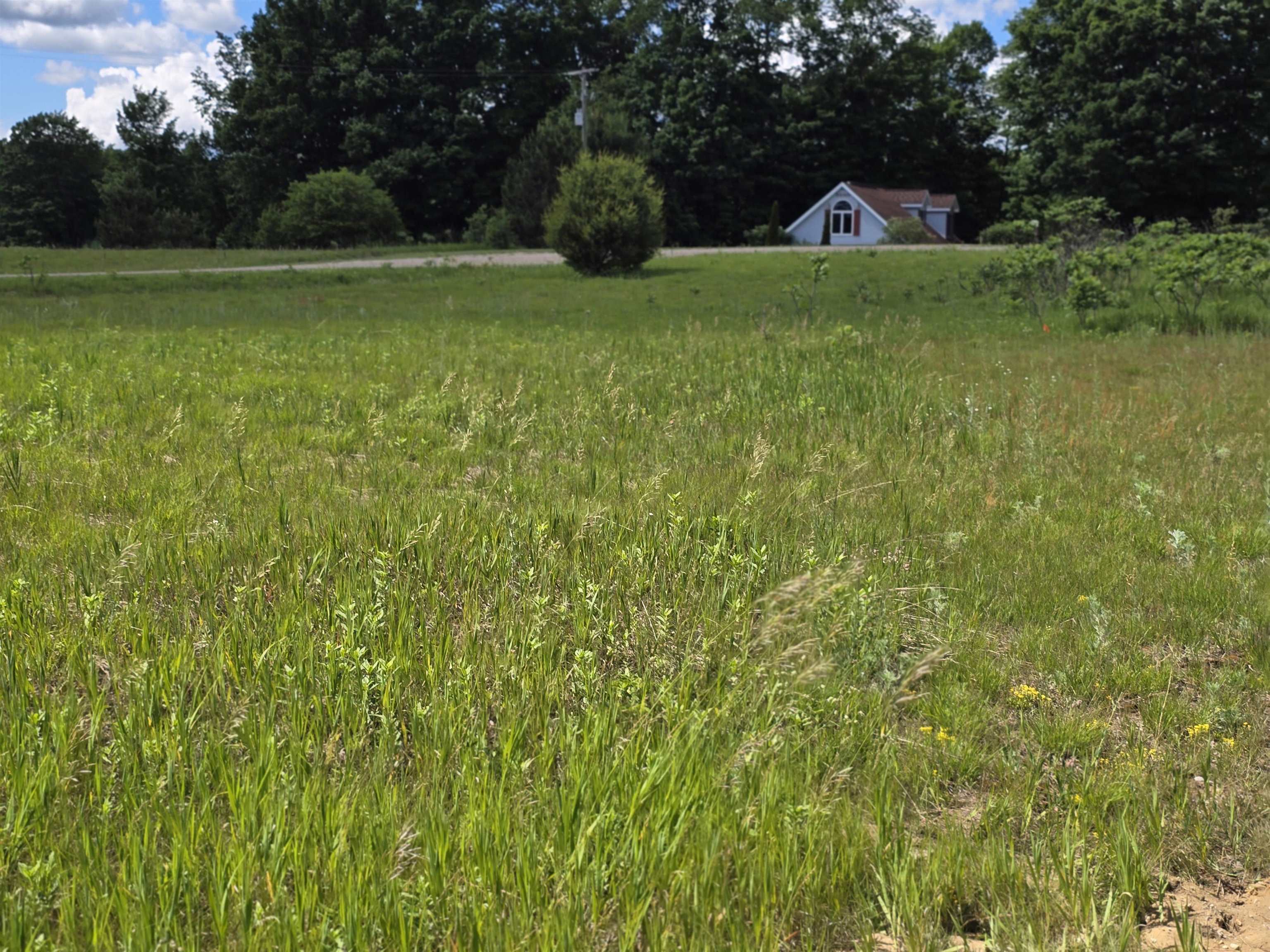 Kay Road Guthrie Road Mesick, MI 49668 - Photo 3 of 10