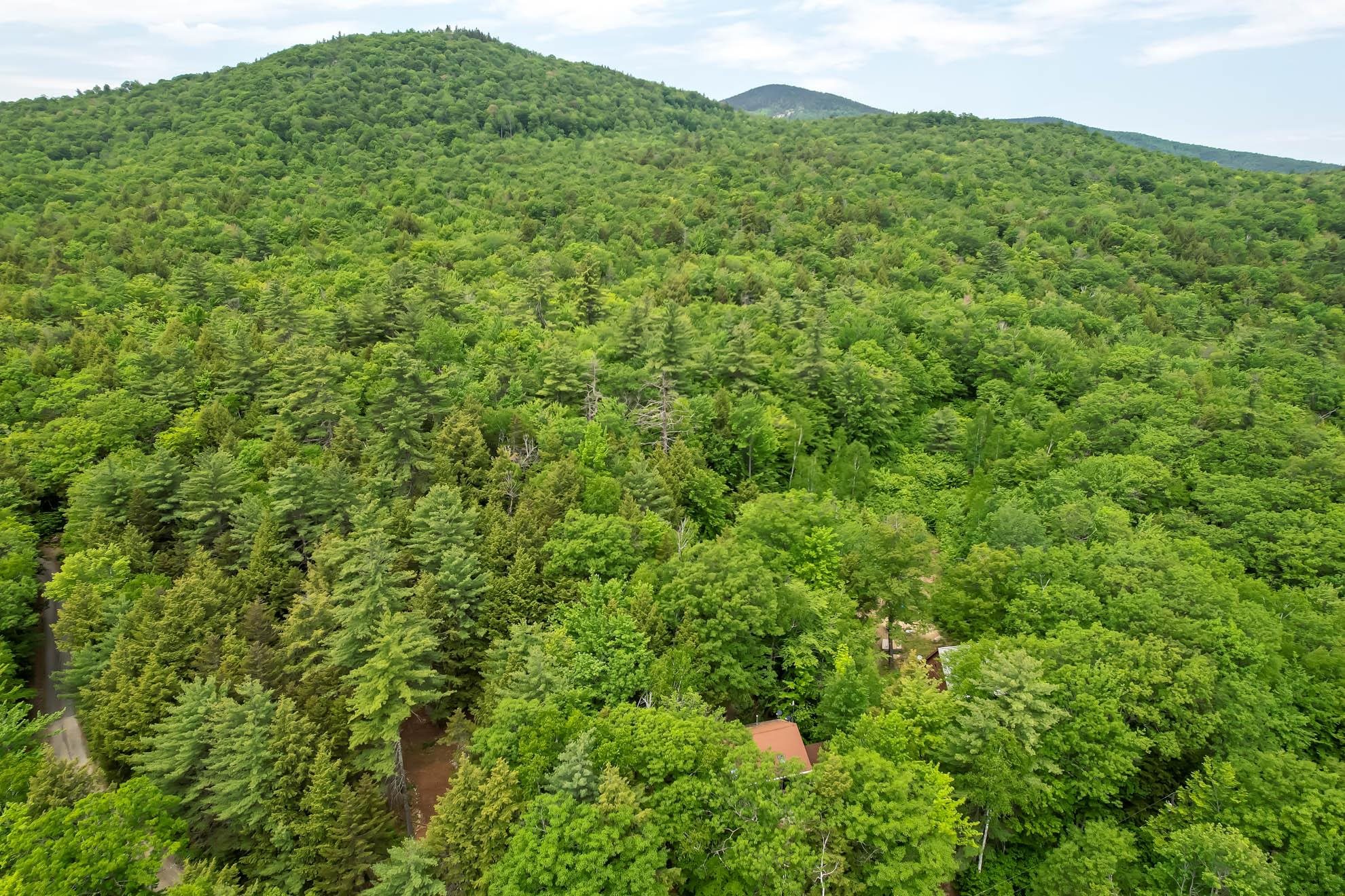 59 Bayle Mountain Road Ossipee, NH 03814 - Photo 26 of 40