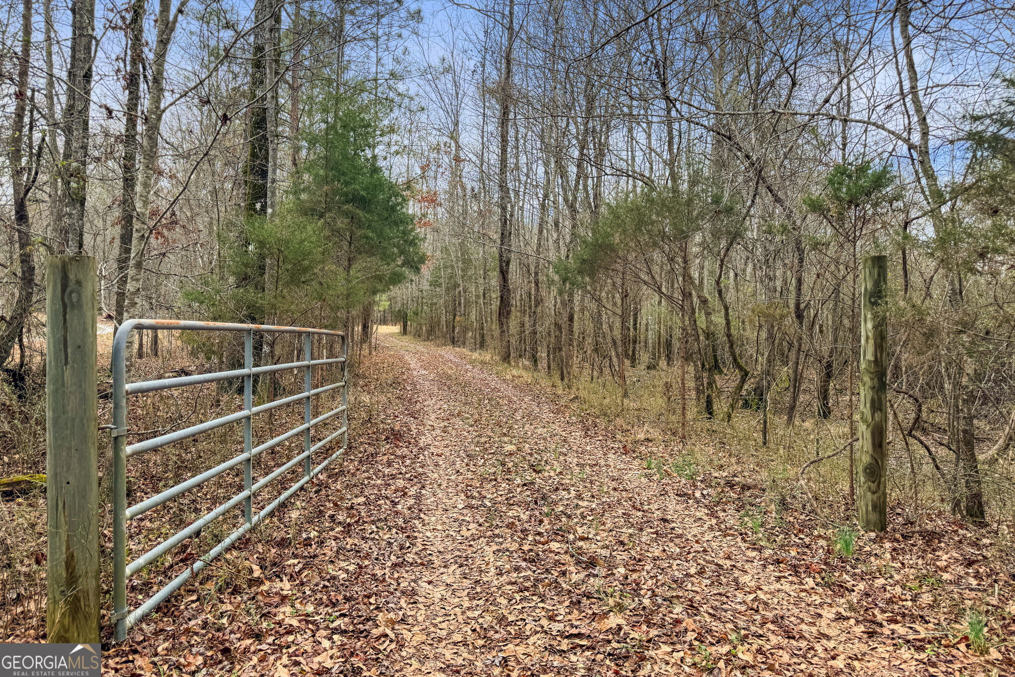 34.61-acres Walker Road Meansville, GA 30256 - Photo 1 of 19 a view of backyard with green space