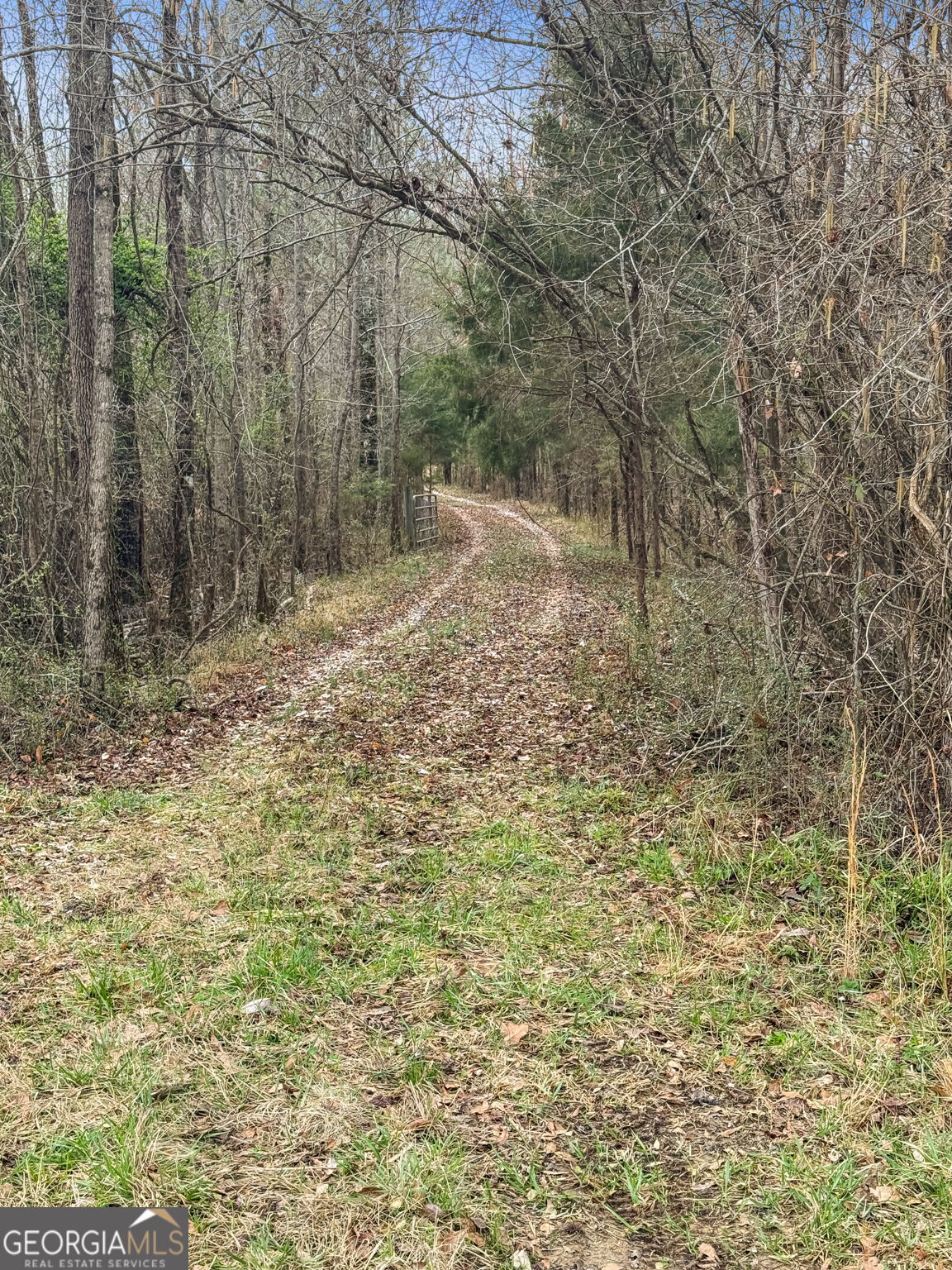 34.61-acres Walker Road Meansville, GA 30256 - Photo 12 of 19 a view of a yard with trees