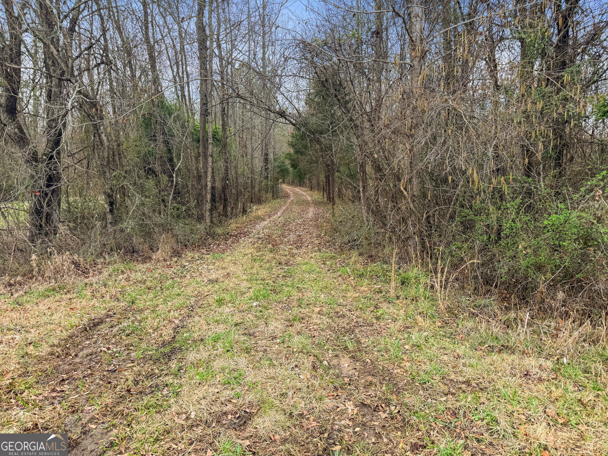 34.61-acres Walker Road Meansville, GA 30256 - Photo 13 of 19 a view of a yard with trees