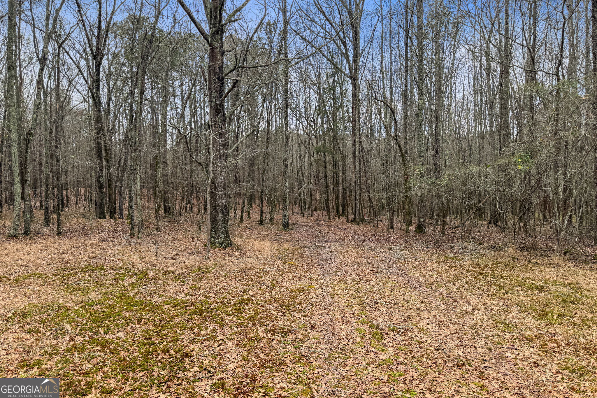 34.61-acres Walker Road Meansville, GA 30256 - Photo 14 of 19 a view of backyard with green space