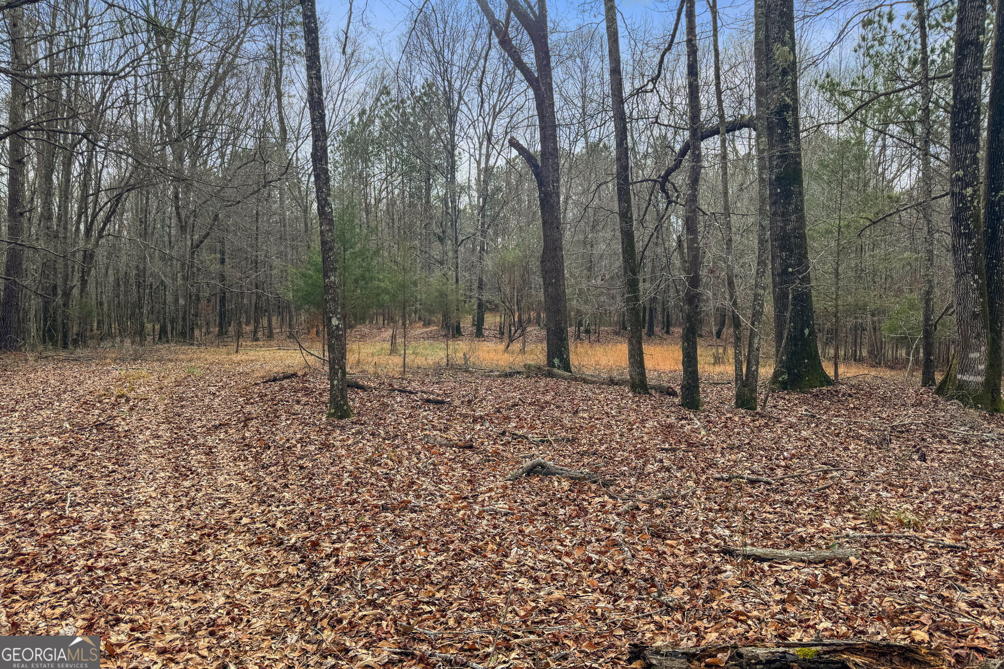 34.61-acres Walker Road Meansville, GA 30256 - Photo 16 of 19 a backyard of a house with lots of green space