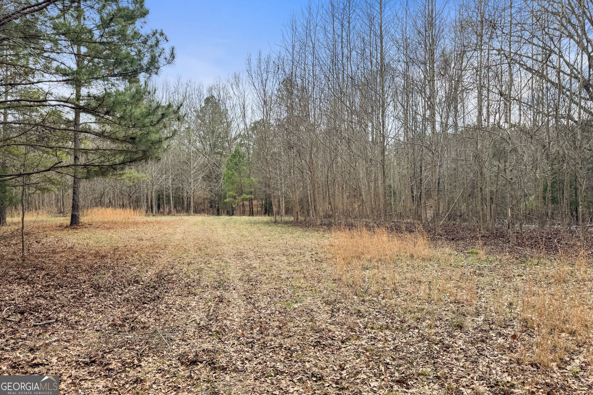 34.61-acres Walker Road Meansville, GA 30256 - Photo 19 of 19 a view of outdoor space with wooden fence