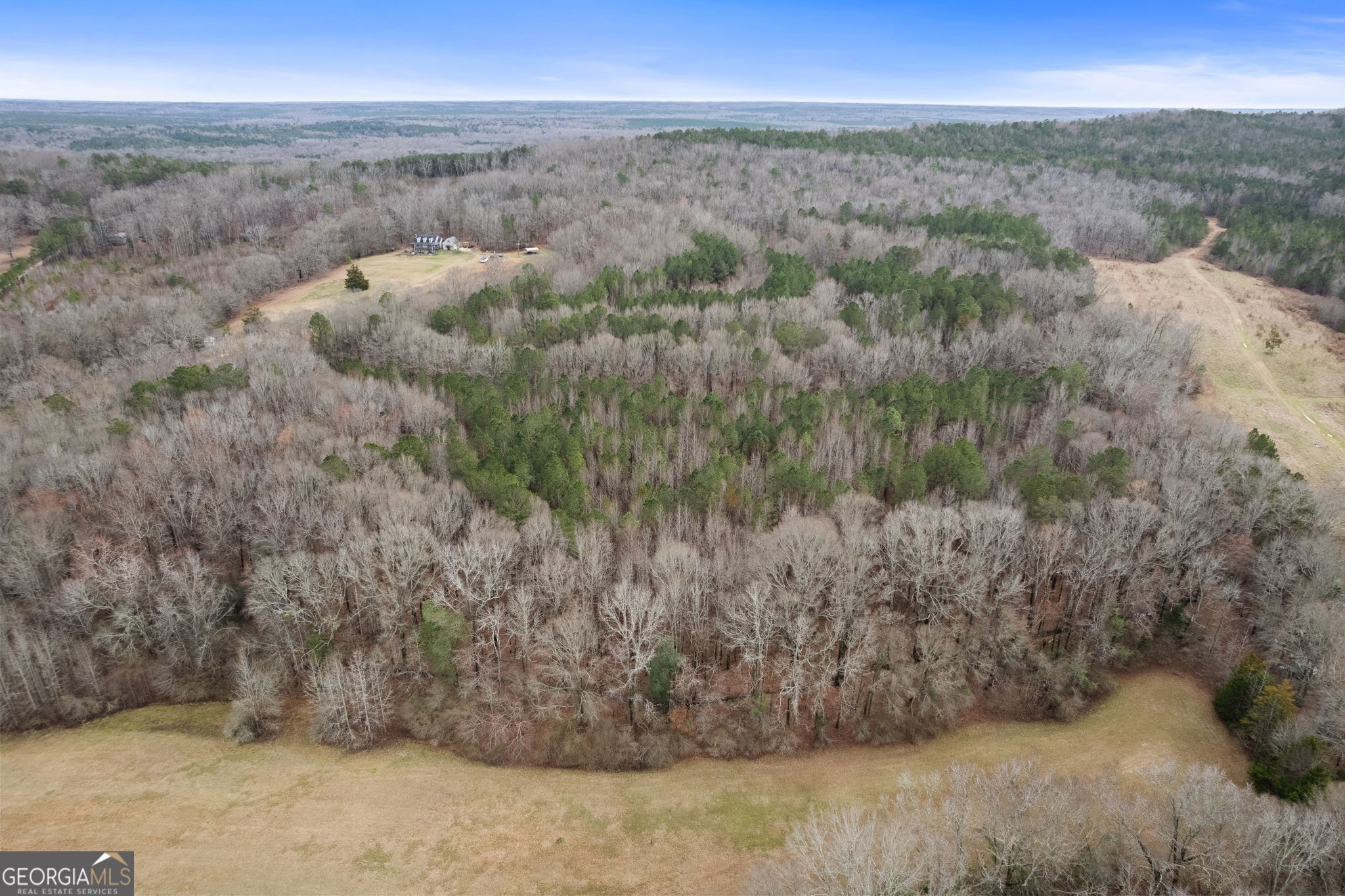 34.61-acres Walker Road Meansville, GA 30256 - Photo 7 of 19 a view of a dry yard with green space