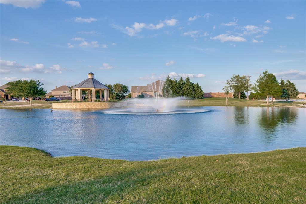 3713 Republic Trail Melissa, TX 75454 - Photo 39 of 40