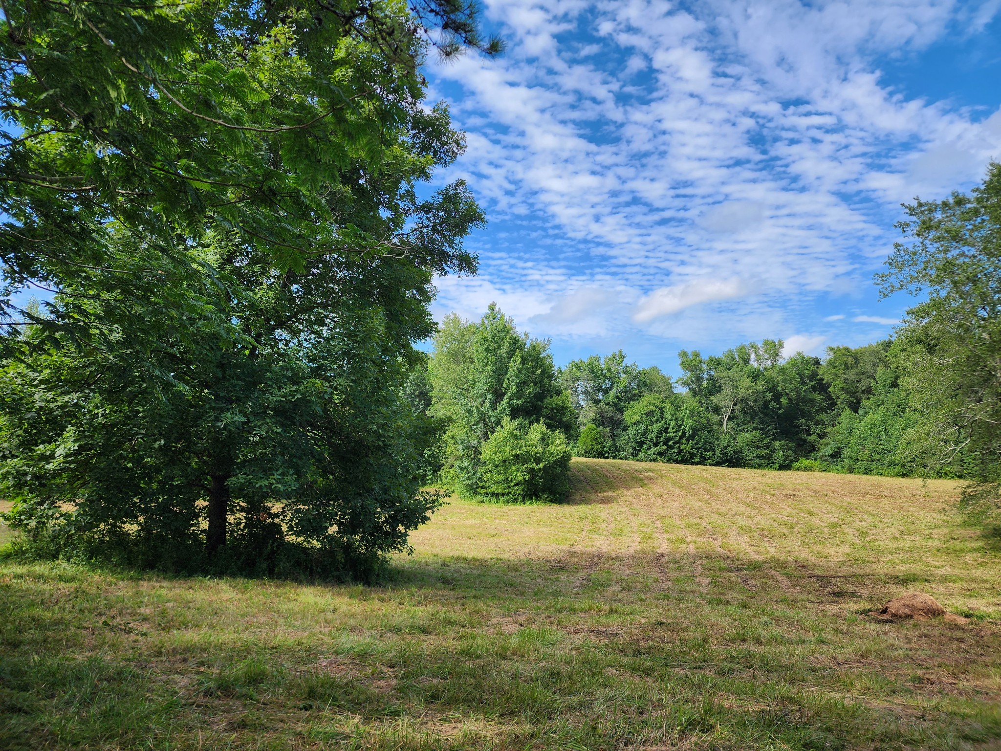 38 Pattershack Road Leoma, TN 38468 - Photo 1 of 7 a view of an outdoor space and a yard
