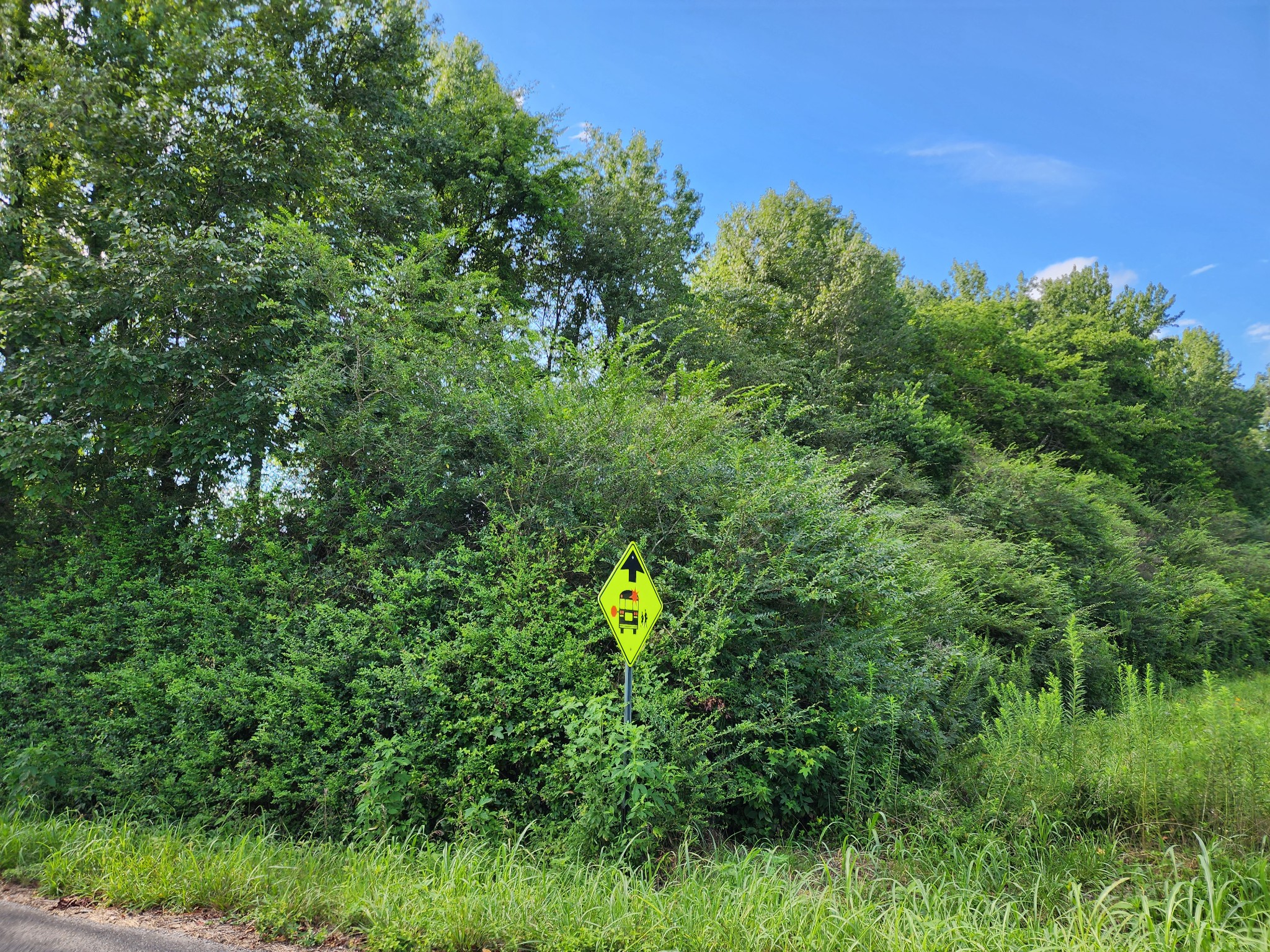 38 Pattershack Road Leoma, TN 38468 - Photo 3 of 7 a view of a garden
