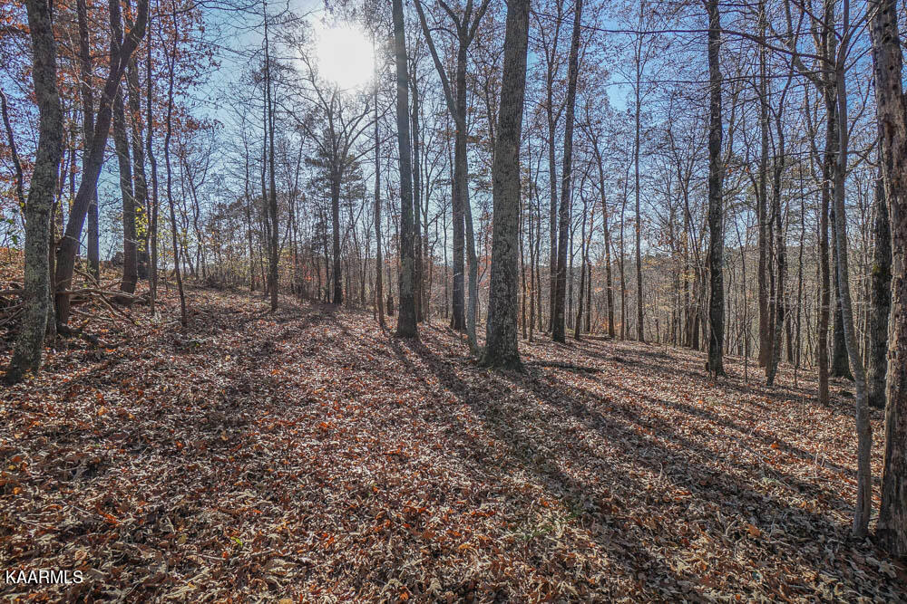 1056 Marble Hill Road Greenback, TN 37742 - Photo 15 of 60 DSC00434