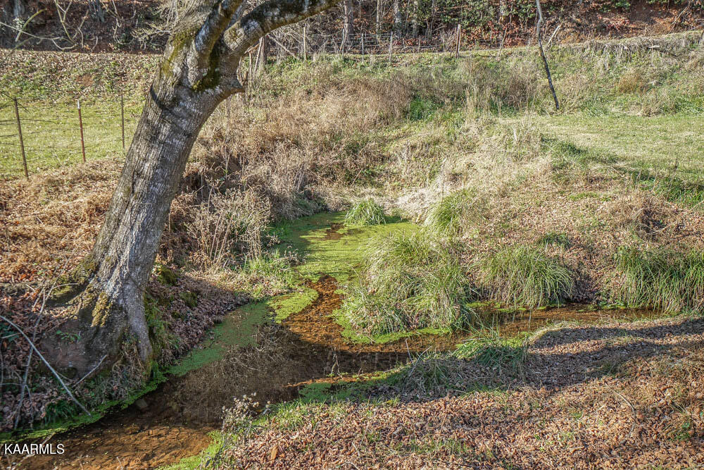 1056 Marble Hill Road Greenback, TN 37742 - Photo 26 of 60 DSC00507