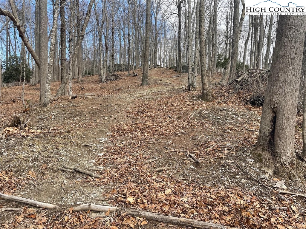 19 Jackson Ridge Road Boone, NC 28607 - Photo 2 of 6 a view of backyard with trees