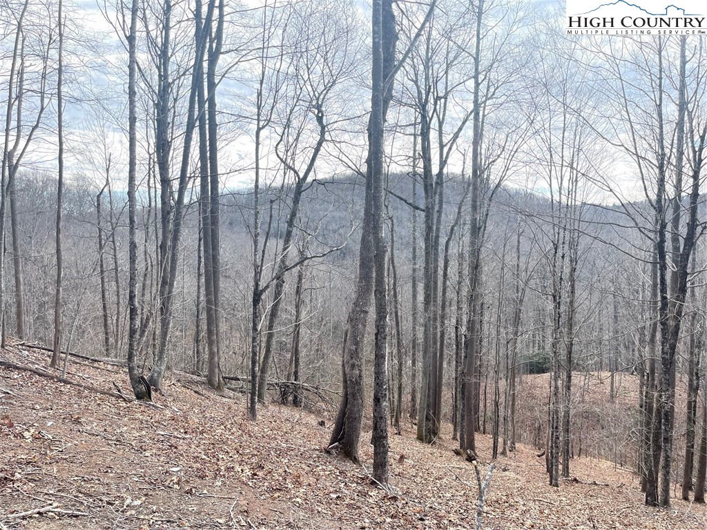 19 Jackson Ridge Road Boone, NC 28607 - Photo 3 of 6 a view of a backyard of the house