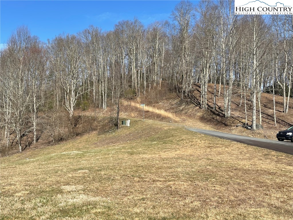 19 Jackson Ridge Road Boone, NC 28607 - Photo 6 of 6 a view of a yard with trees