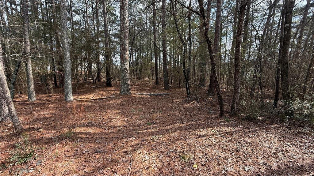 9127 East Carroll Road Winston, GA 30187 - Photo 3 of 5 a view of outdoor space with trees