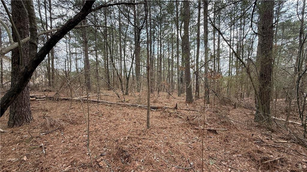 9127 East Carroll Road Winston, GA 30187 - Photo 4 of 5 a view of a backyard with trees