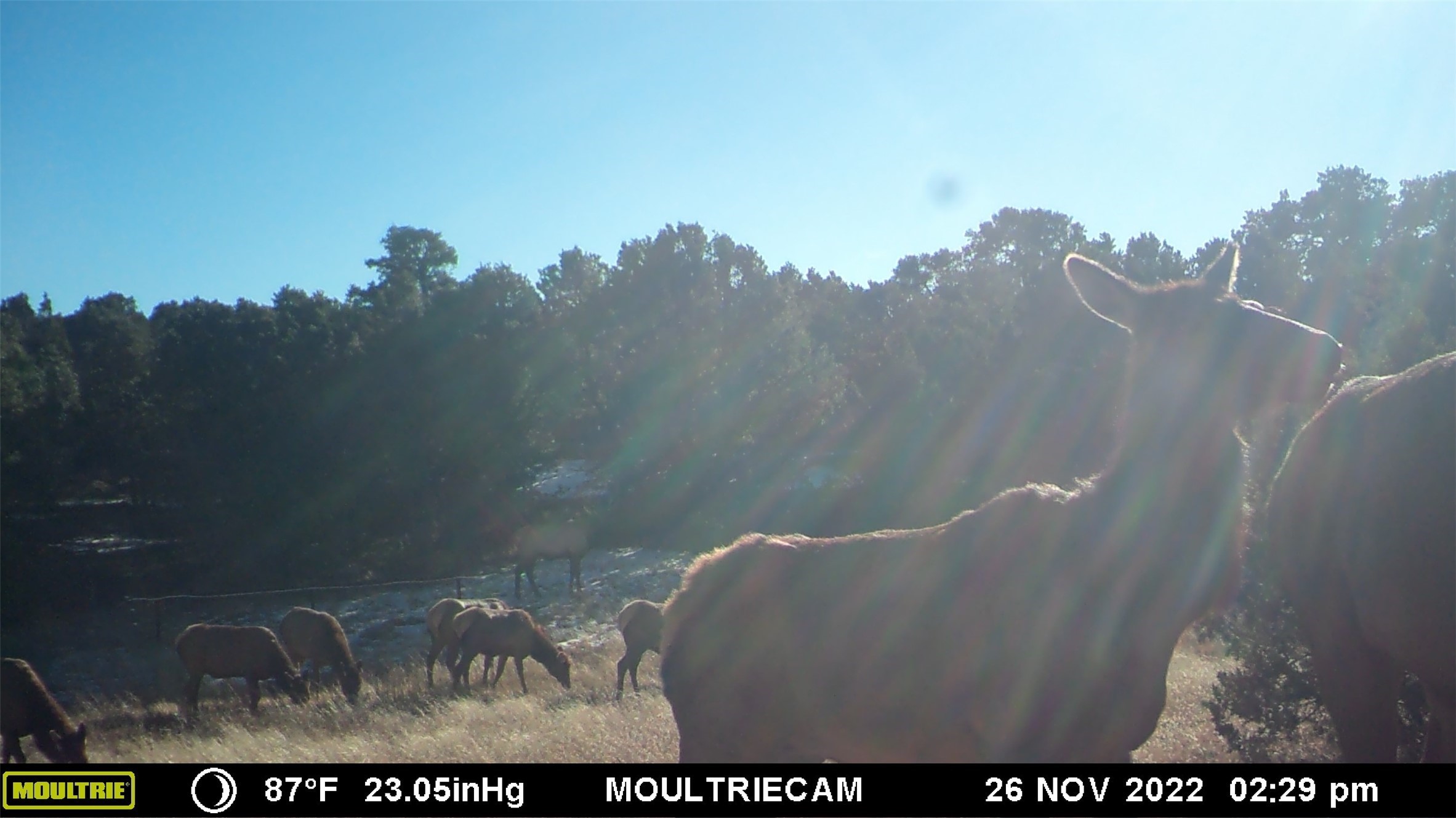 26262 US Highway 285 Ribera, NM 87560 - Photo 36 of 46