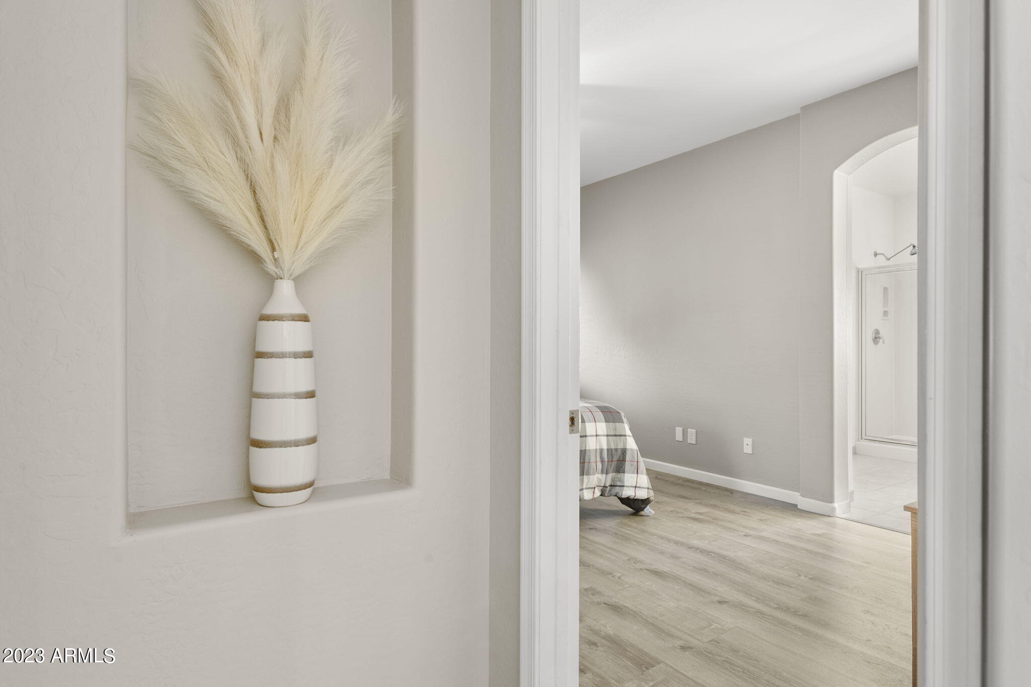 4560 East Murrieta Road Gilbert, AZ 85297 - Photo 15 of 47 Primary Suite Entry