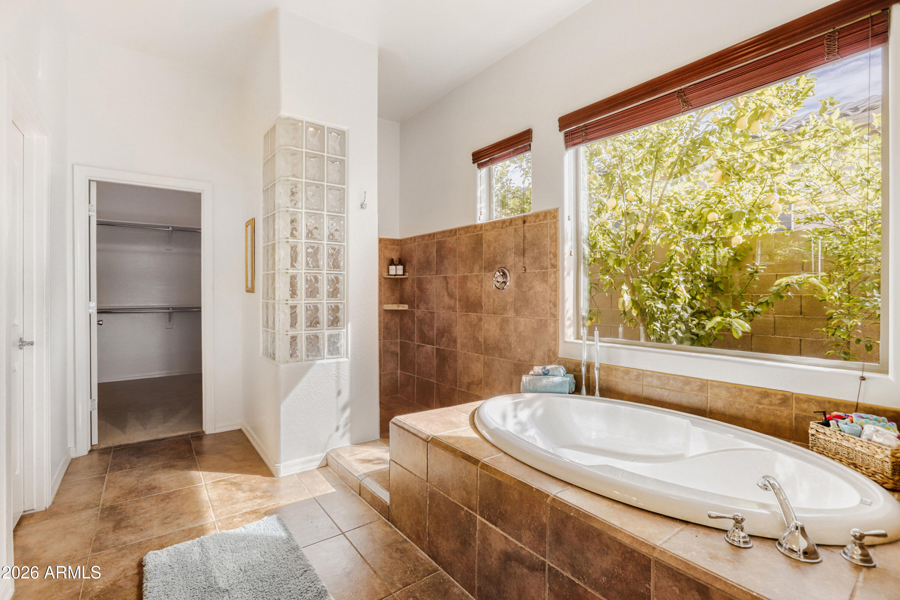 12319 West Eagle Ridge Lane Peoria, AZ 85383 - Photo 26 of 45 Spa Bath with Tub & Shower