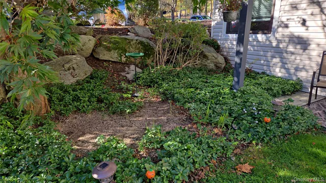 a view of a garden with plants