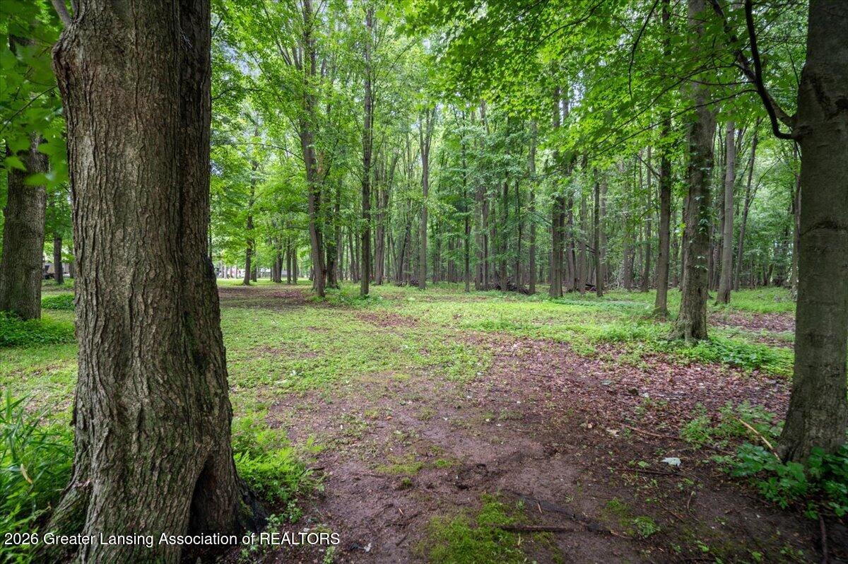 1520 Shepard Road Crystal, MI 48818 - Photo 50 of 59 54-LOT IN BACK 05