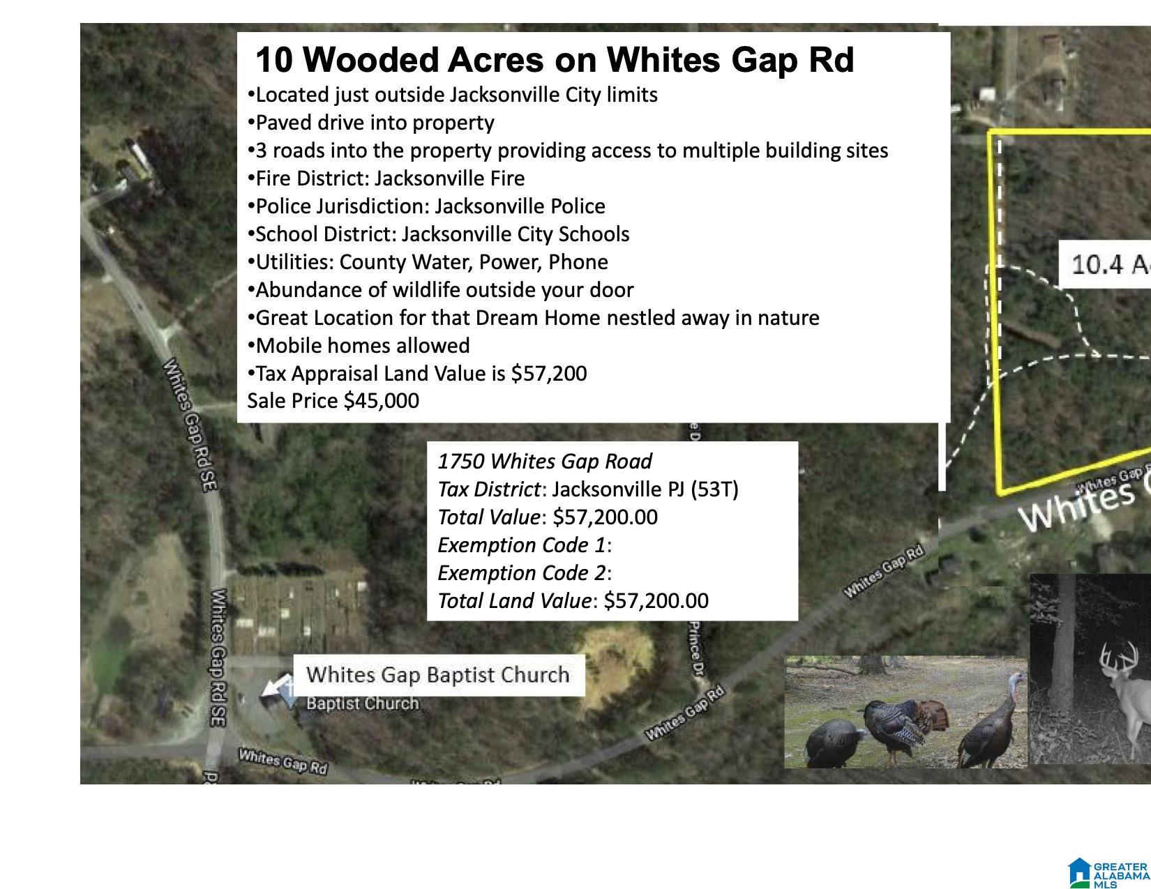 0 Whites Gap Road, Unit 10 43 Jacksonville, AL 36265 - Photo 2 of 6