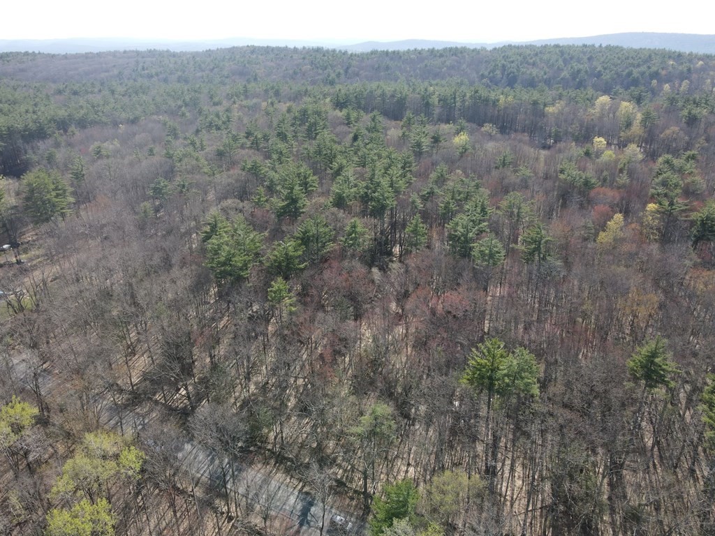 0 Athol Road Orange, MA 01364 - Photo 1 of 10 a view of a dry yard with green space