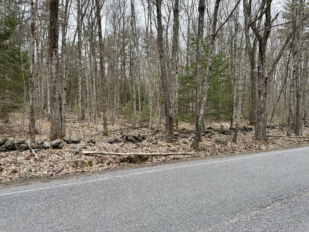 0 Athol Road Orange, MA 01364 - Photo 5 of 10 a view of a forest with trees