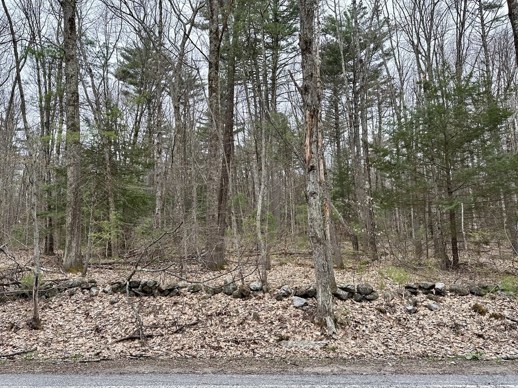 0 Athol Road Orange, MA 01364 - Photo 6 of 10 a view of a yard with a trees