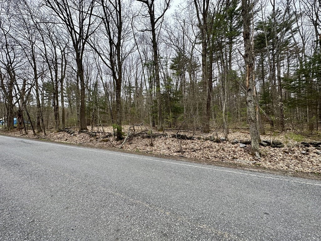 0 Athol Road Orange, MA 01364 - Photo 7 of 10 a view of a yard with a tree