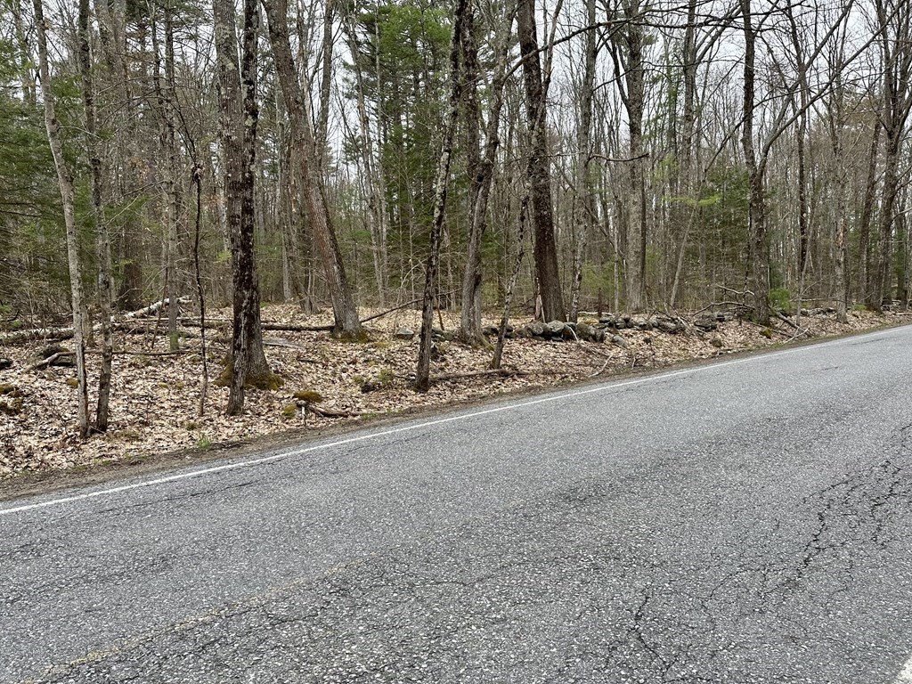 0 Athol Road Orange, MA 01364 - Photo 8 of 10 a view of a forest with trees