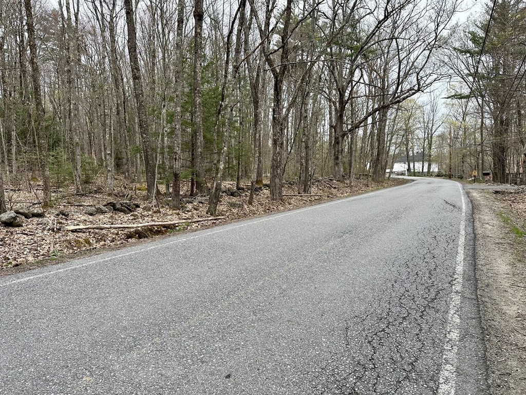 0 Athol Road Orange, MA 01364 - Photo 9 of 10 a view of a forest with trees