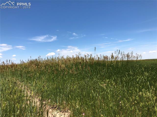 Alford Road Simla, CO 80835 - Photo 10 of 22