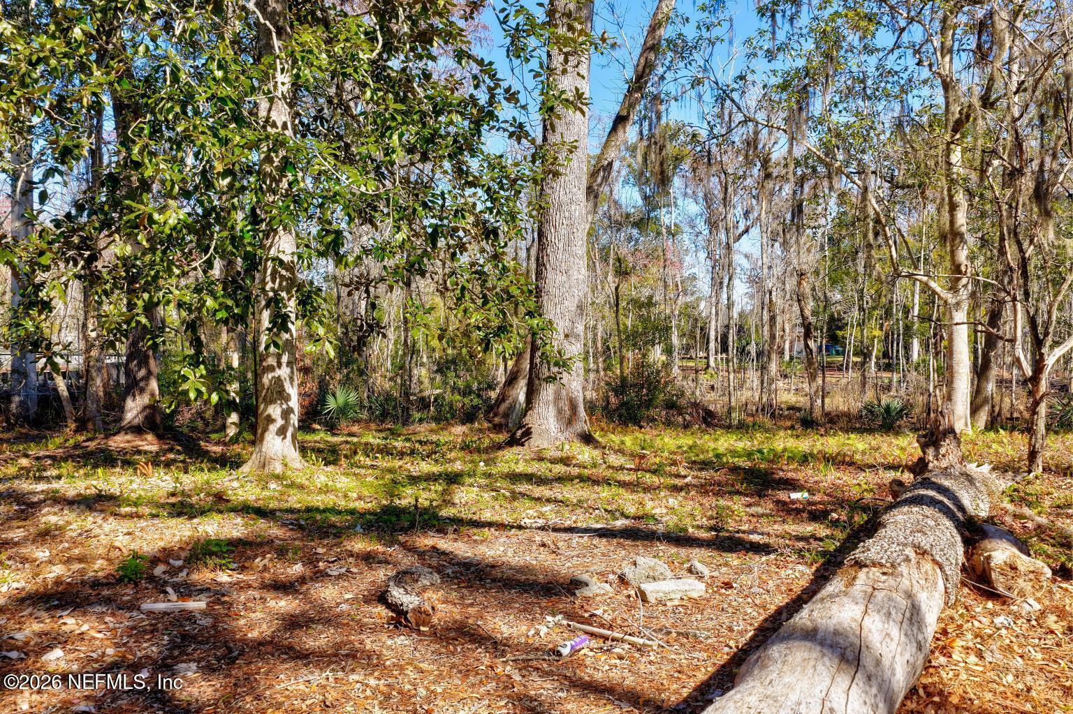 0 Scott Mill Road Jacksonville, FL 32223 - Photo 14 of 26 15