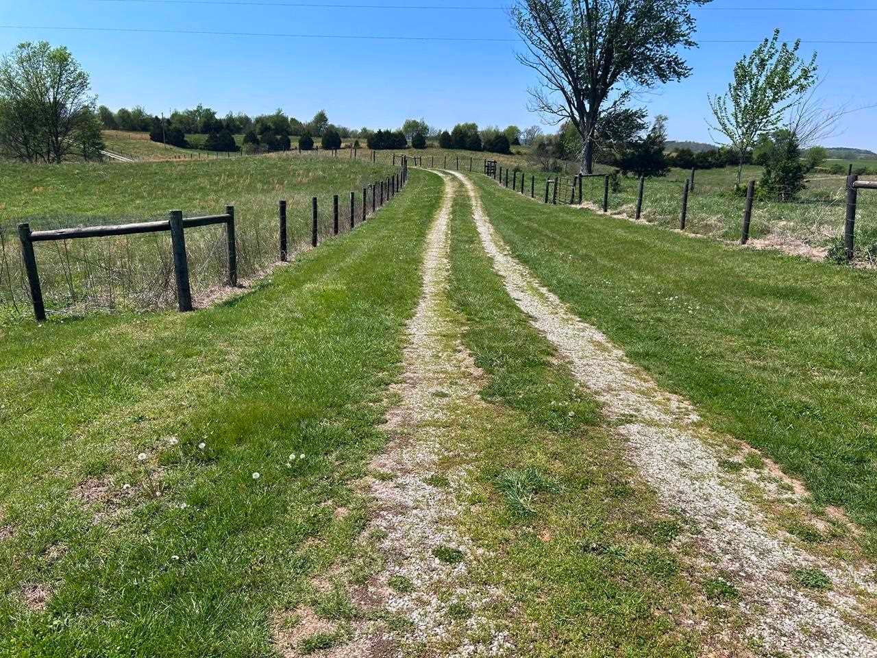 3230 Rex Road Hardyville, KY 42746 - Photo 17 of 28 Gallery Image 17