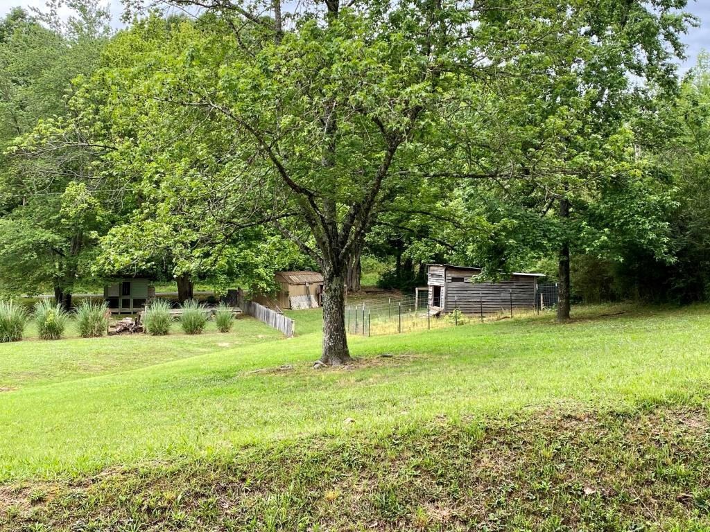 150 South Crisp Lane Decatur, TN 37322 - Photo 28 of 29 Gallery Image 28