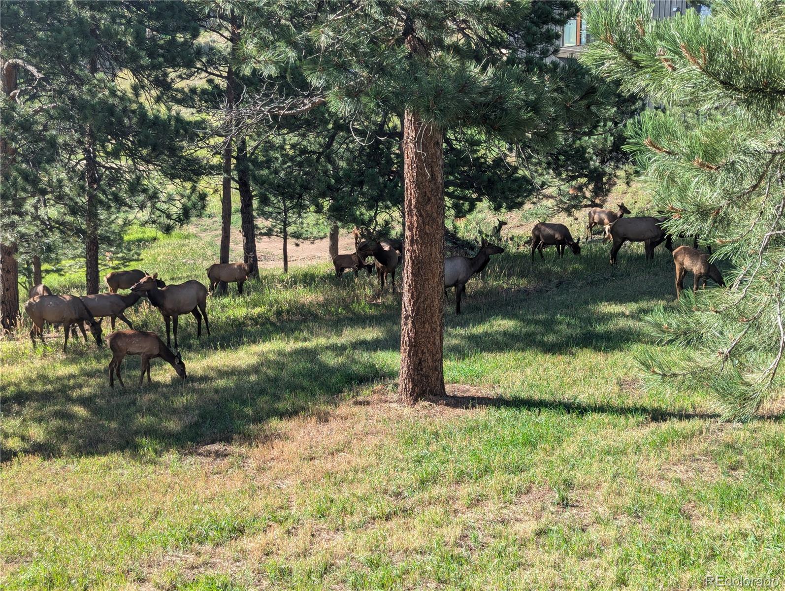 95 Lookout Mountain Road Golden, CO 80401 - Photo 49 of 50 Gallery Image 49