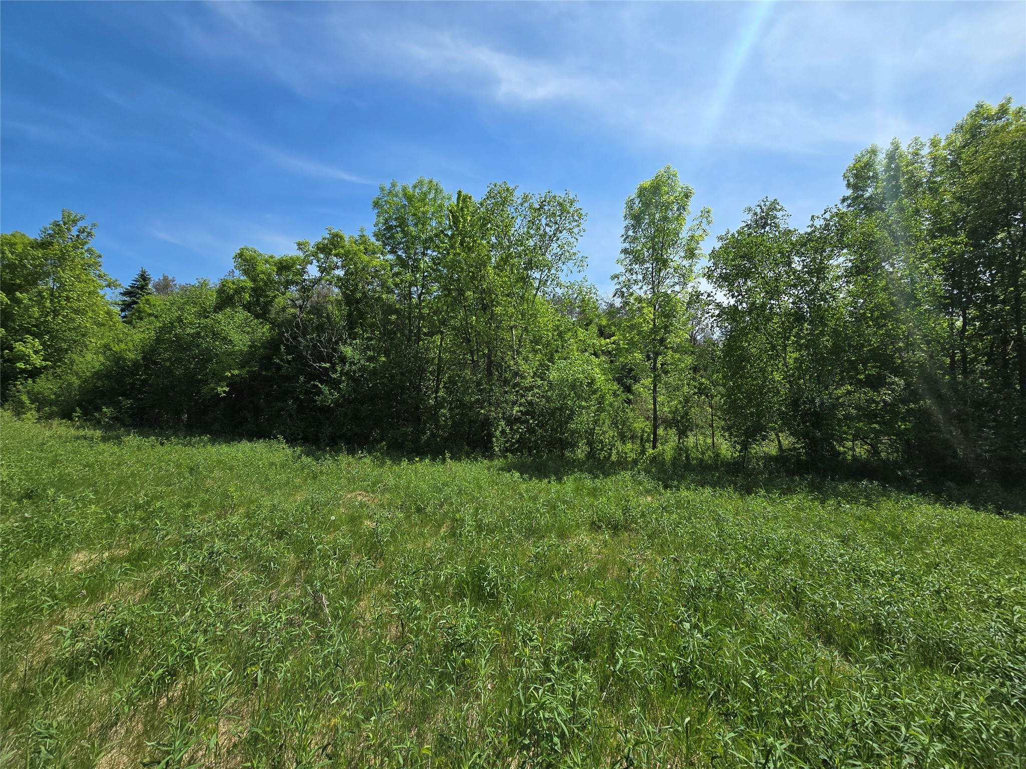0 27th Street Chetek, WI 54728 - Photo 3 of 10