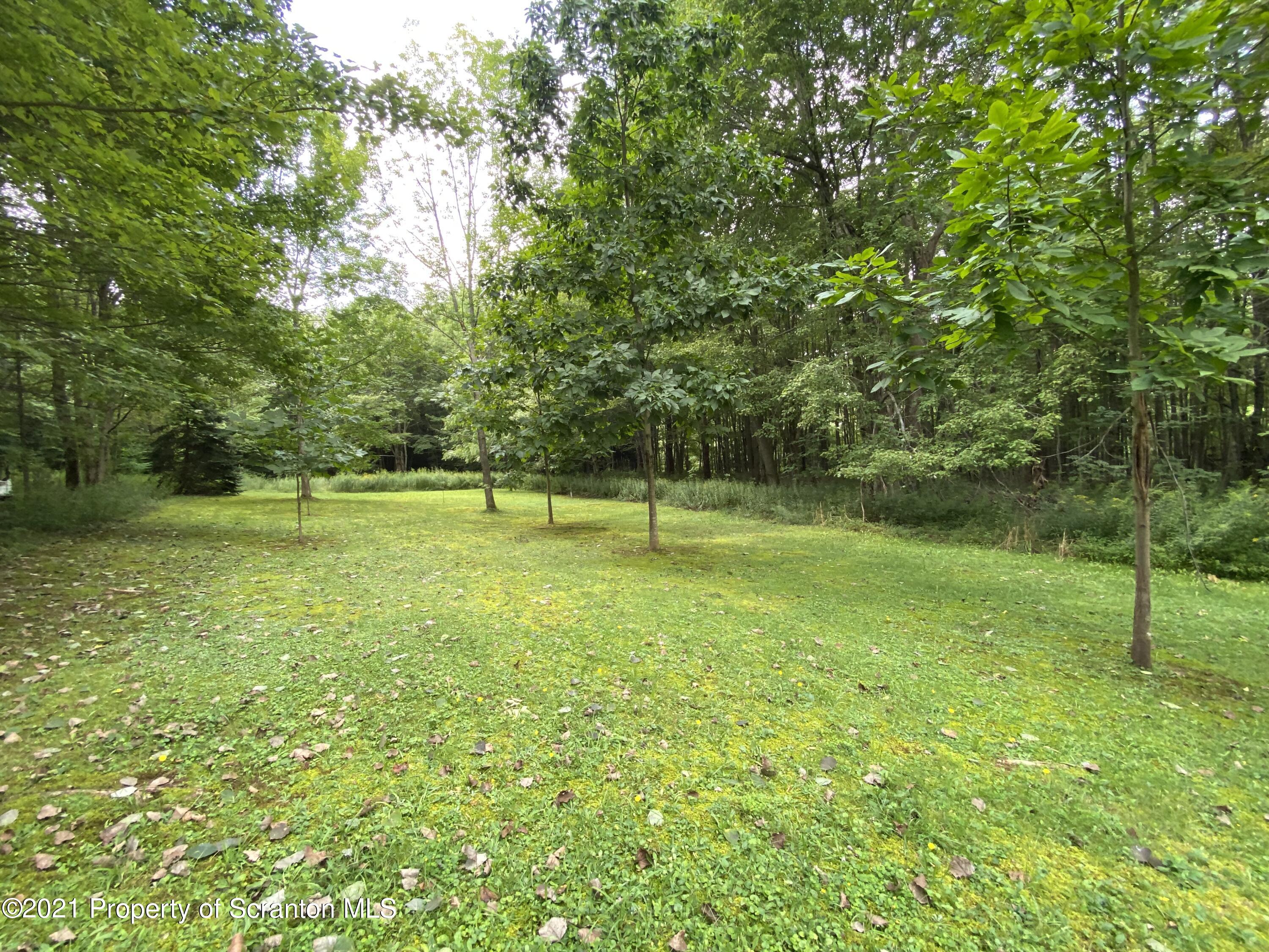 542 Spring Hill Road Moscow, PA 18444 - Photo 37 of 53