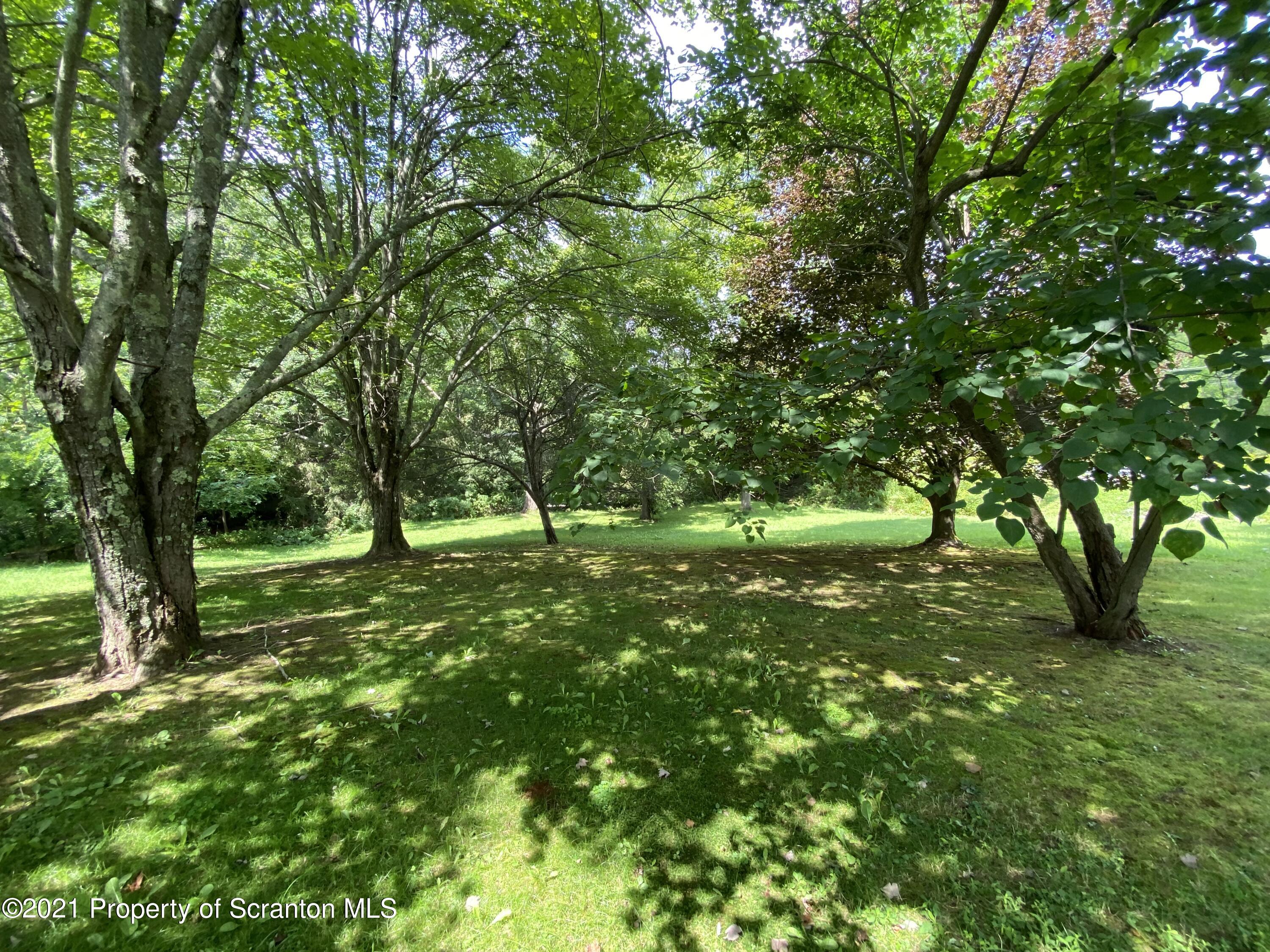 542 Spring Hill Road Moscow, PA 18444 - Photo 47 of 53