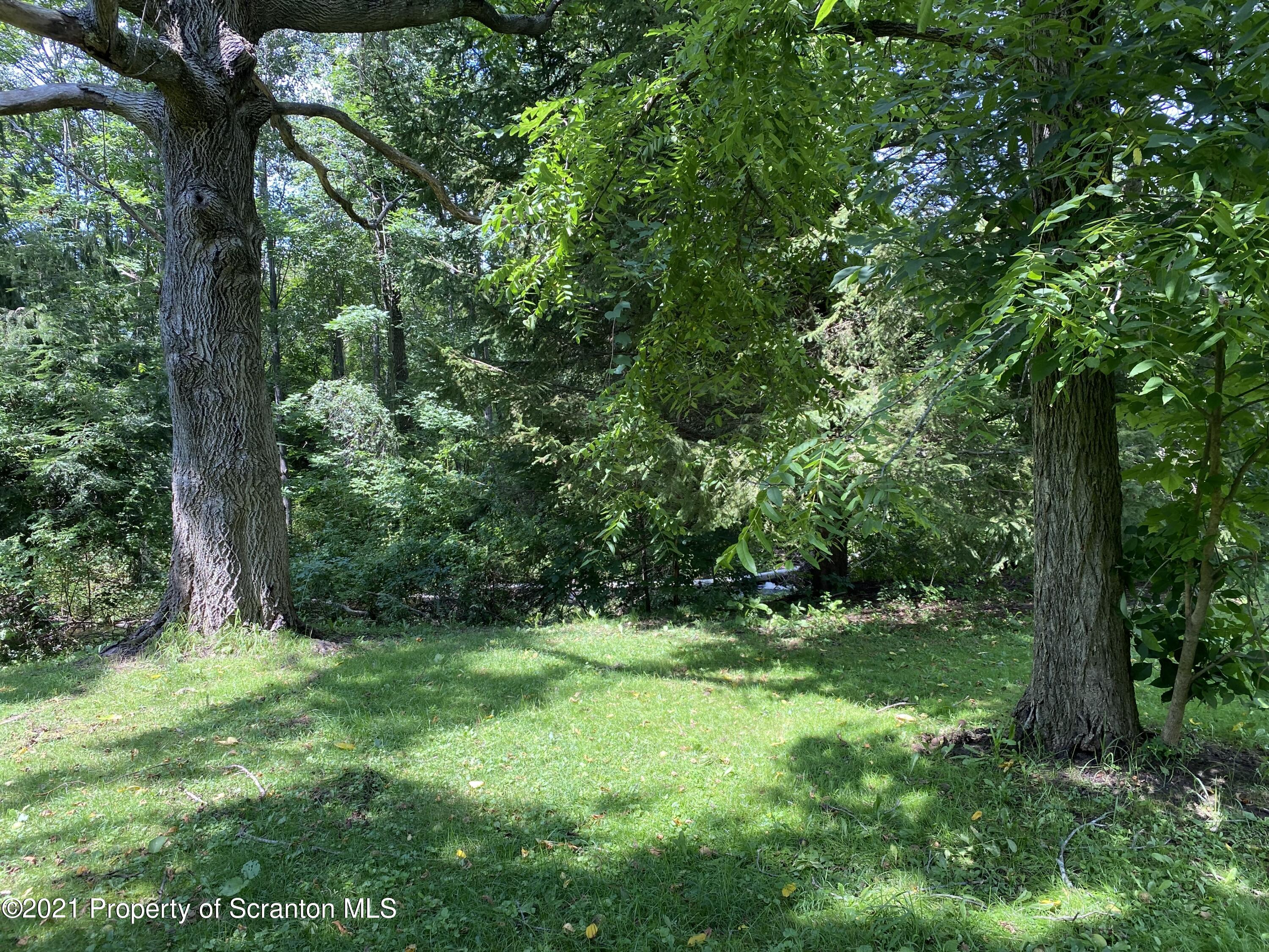 542 Spring Hill Road Moscow, PA 18444 - Photo 48 of 53