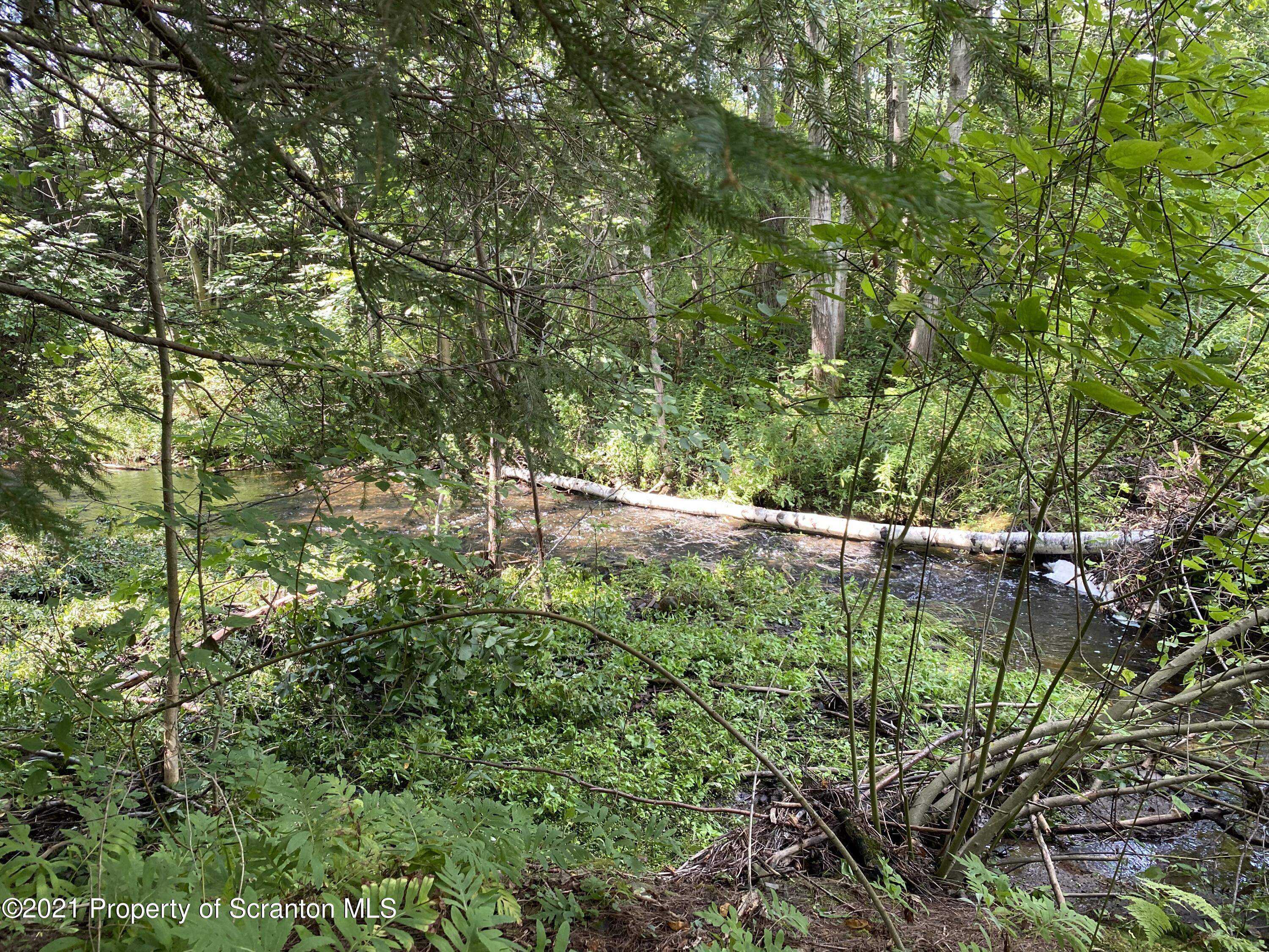 542 Spring Hill Road Moscow, PA 18444 - Photo 50 of 53