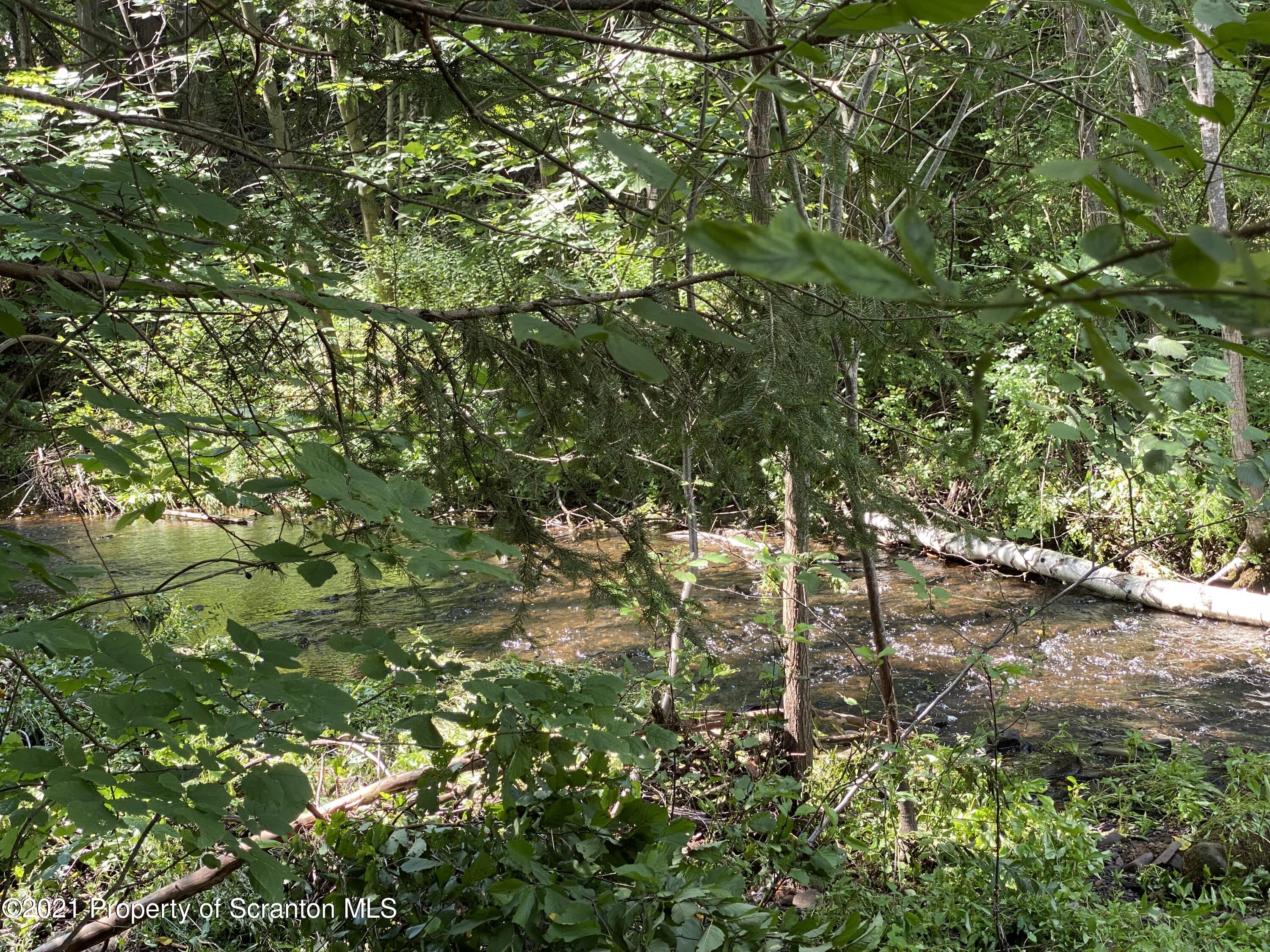 542 Spring Hill Road Moscow, PA 18444 - Photo 51 of 53