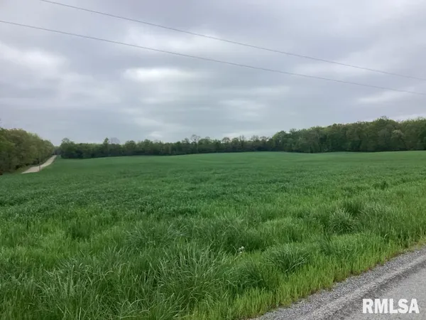 a view of a field of grass and trees