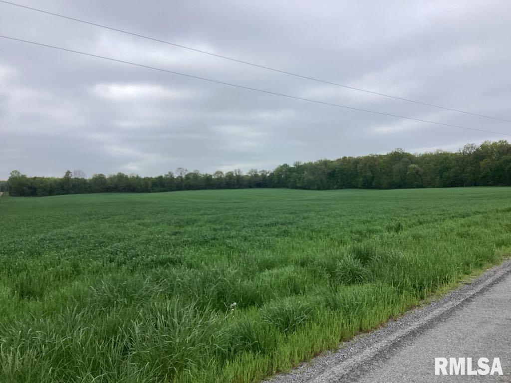 0 County 750 N Road McLeansboro, IL 62859 - Photo 4 of 4