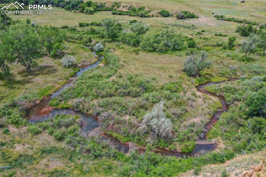 2073 North Perry Park Road Sedalia, CO 80135 - Photo 29 of 40 a view of a lush green forest with lots of trees