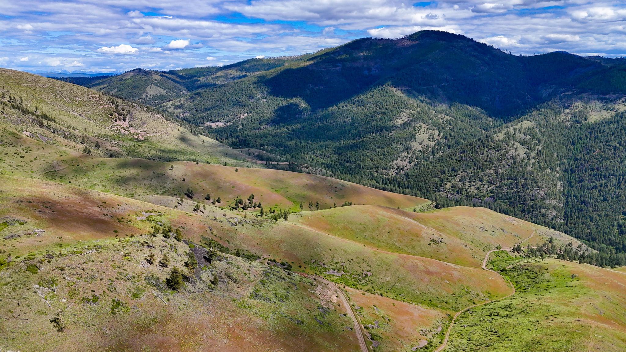 2 Henry Creek Road Plains, MT 59859 - Photo 21 of 40 Gallery Image 21