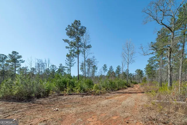 a view of an outdoor space with seating