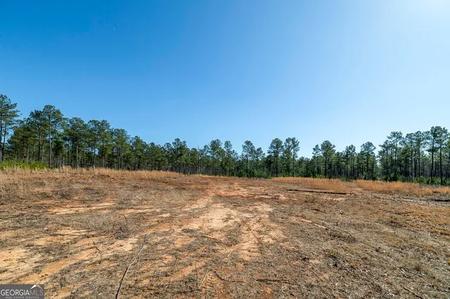 a view of a field with trees in the background