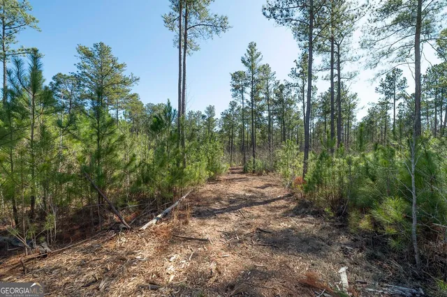 a view of outdoor space and trees