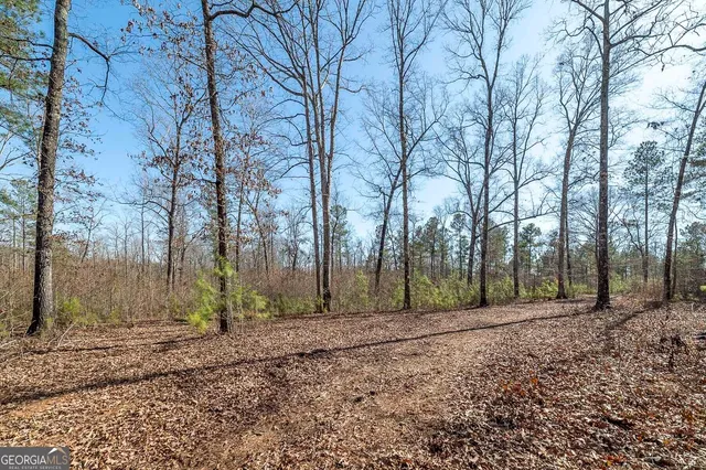 a view of a tennis court